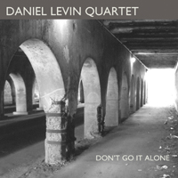 DANIEL LEVIN - Don't Go It Alone cover 