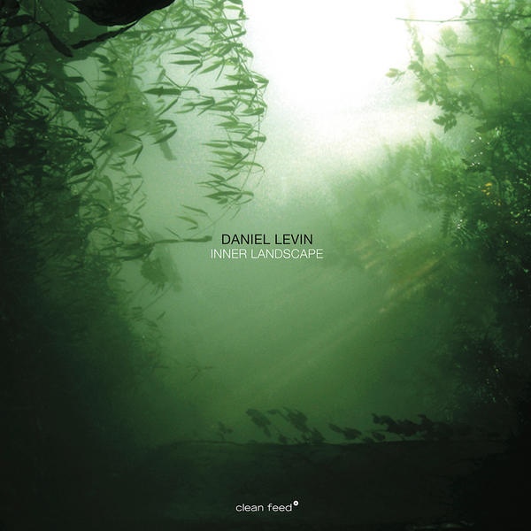 DANIEL LEVIN - Inner Landscape cover 