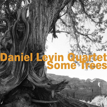 DANIEL LEVIN - Some Trees cover 