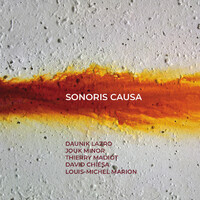 DAUNIK LAZRO - Daunik Lazro / Jouk Minor / Thierry Madiot / David Chisa / Louis-Michel Marion : Sonoris Causa cover 