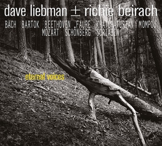 DAVE LIEBMAN - Dave Liebman & Richie Beirach : Eternal Voices cover 