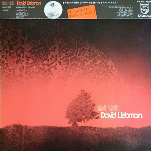 DAVE LIEBMAN - First Visit cover 