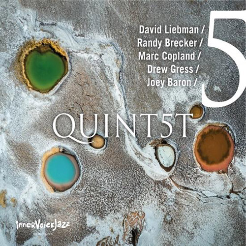 DAVE LIEBMAN - Liebman / Brecker / Copland / Alessi / Gress / Baron : QuinT5T cover 