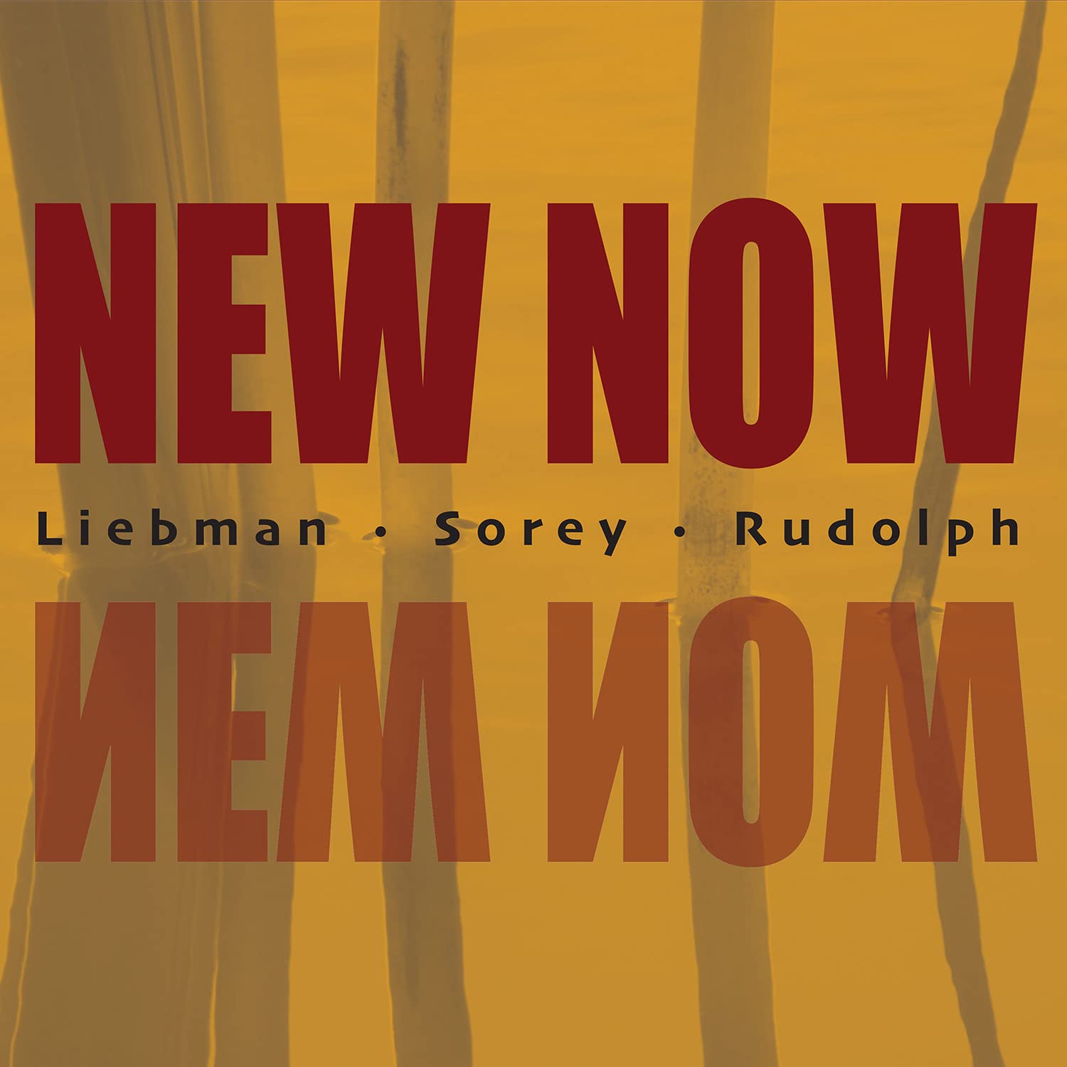 DAVE LIEBMAN - Liebman - Sorey - Rudolph : New Now cover 