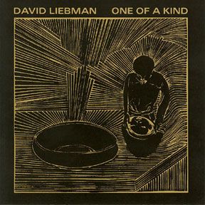 DAVE LIEBMAN - One Of A Kind cover 