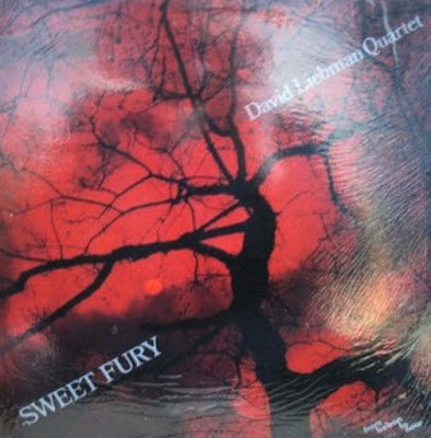 DAVE LIEBMAN - Sweet Fury cover 