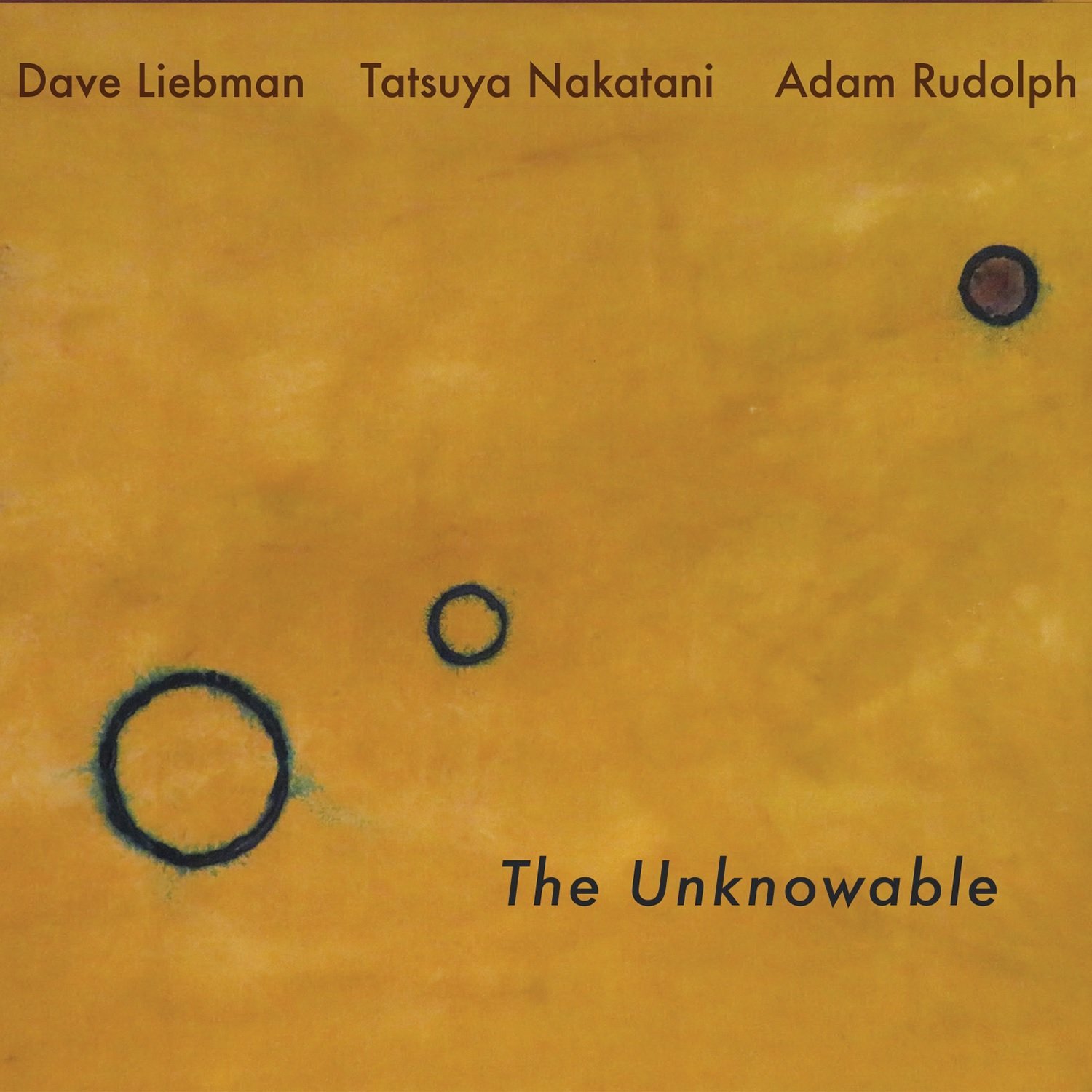 DAVE LIEBMAN - The Unknowable cover 