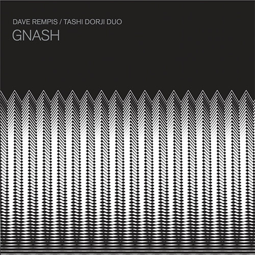 DAVE REMPIS - Dave Rempis / Tashi Dorji Duo : Gnash cover 