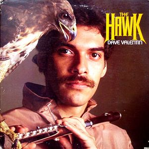 DAVE VALENTIN - The Hawk cover 