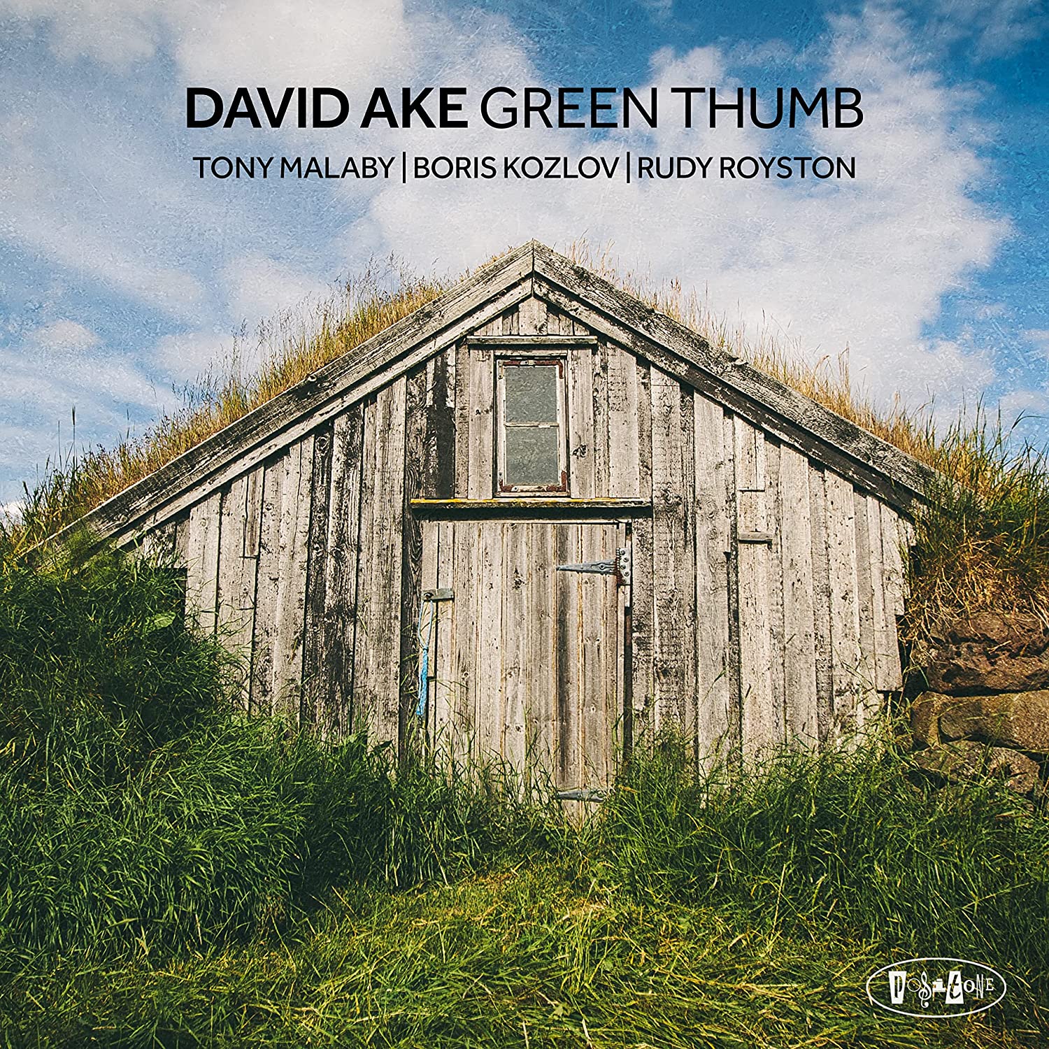DAVID AKE - Green Thumb cover 