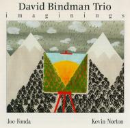 DAVID BINDMAN - David Bindman Trio ‎: Imaginings cover 