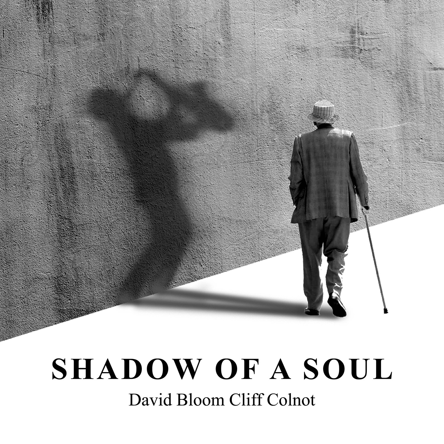 DAVID BLOOM - David Bloom and Cliff Colnot : Shadow Of A Soul cover 