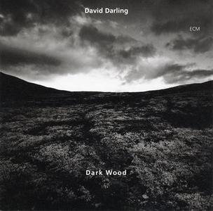 DAVID DARLING - Dark Wood cover 