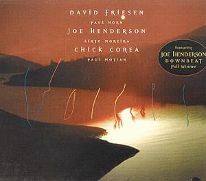 DAVID FRIESEN - Voices (aka Amber Skies) cover 