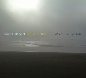 DAVID FRIESEN - David Friesen Circle 3 Trio : Where The Light Falls cover 