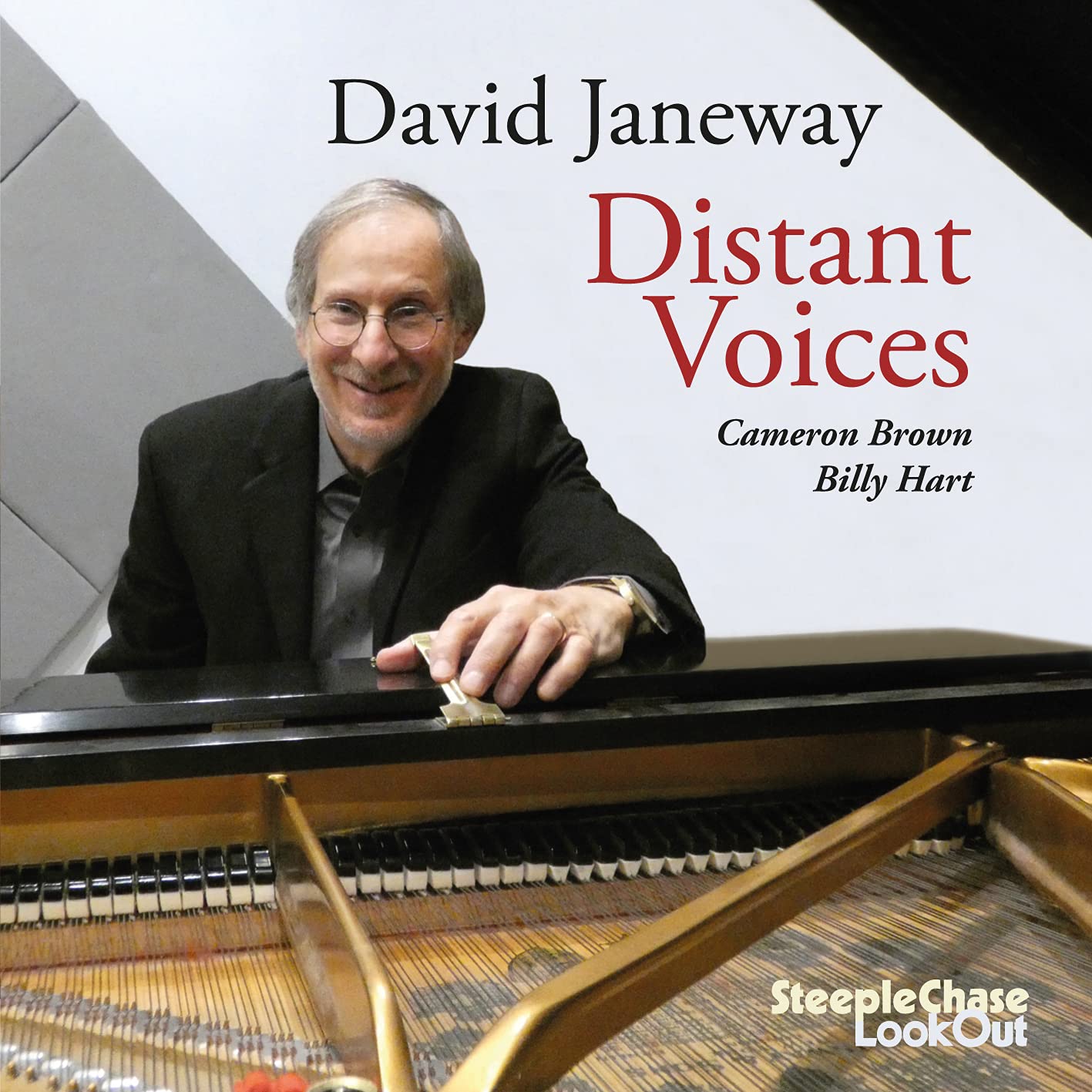 DAVID JANEWAY - Distant Voices cover 