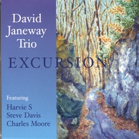 DAVID JANEWAY - Excursion cover 