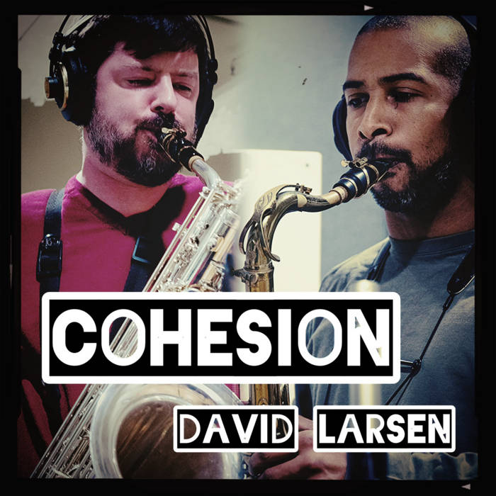 DAVID LARSEN - Cohesion cover 