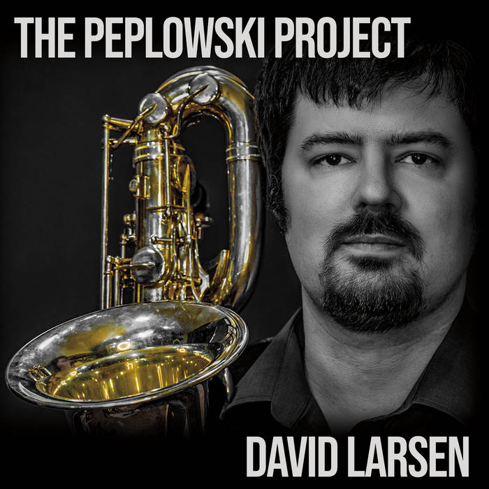 DAVID LARSEN - The Peplowski Project cover 