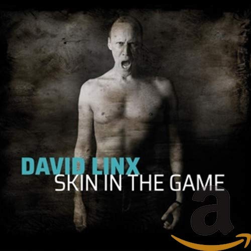 DAVID LINX - Skin in The Game cover 