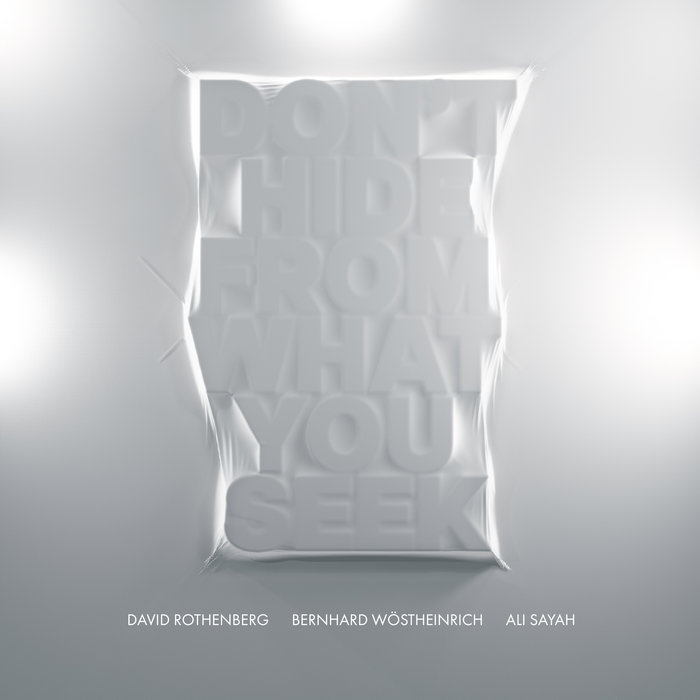 DAVID ROTHENBERG - David Rothenberg, Bernhard Wstheinrich, Ali Sayah : Dont Hide From What You Seek cover 