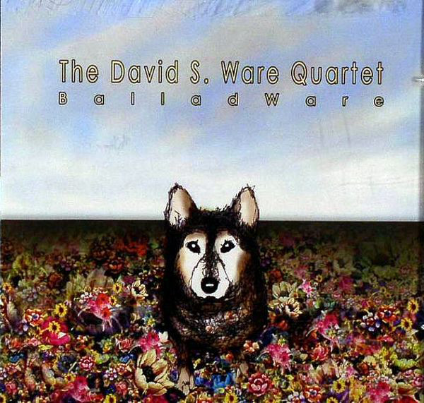 DAVID S. WARE - BalladWare cover 