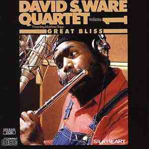 DAVID S. WARE - Great Bliss vol 1 cover 