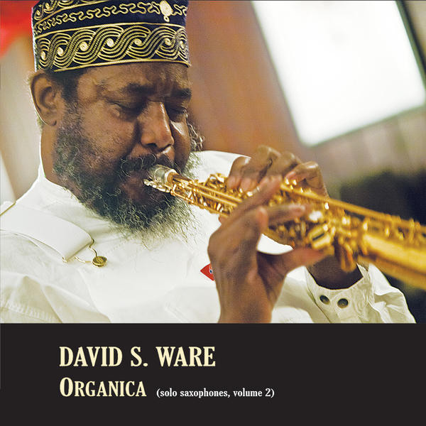 DAVID S. WARE - Organica Vol.2 cover 