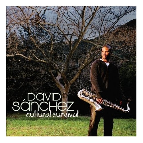 DAVID SÁNCHEZ - Cultural Survival cover 
