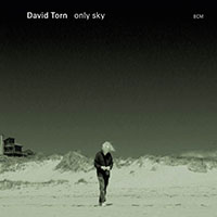 DAVID TORN - Only Sky cover 