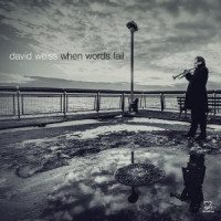 DAVID WEISS - When Words Fail cover 