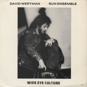 DAVID WERTMAN - Wide Eye Culture cover 