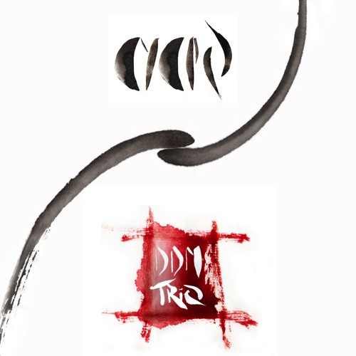 DDM TRIO - Cyclo cover 