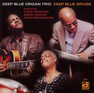 DEEP BLUE ORGAN TRIO - Deep Blue Bruise cover 