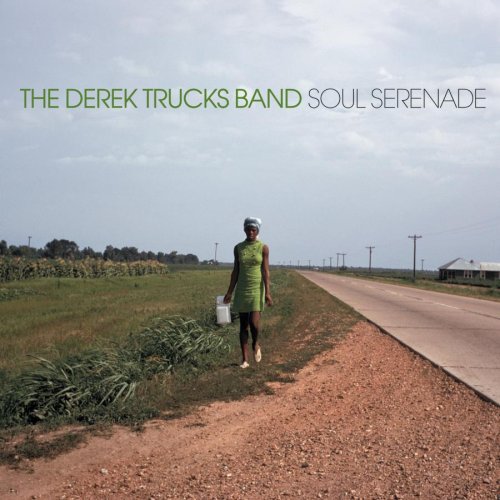 DEREK TRUCKS - Soul Serenade cover 