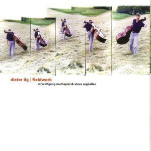 DIETER ILG - Fieldwork cover 