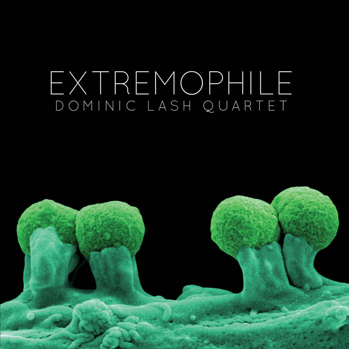 DOMINIC LASH - Dominic Lash Quartet : Extremophile cover 