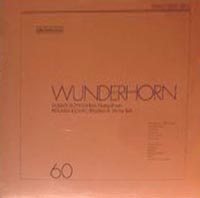 DUSKO GOYKOVICH - Wunderhorn cover 