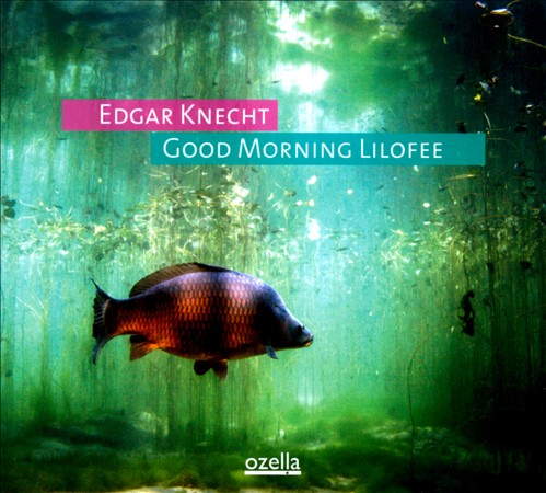 EDGAR KNECHT - Good Morning Lilofee cover 