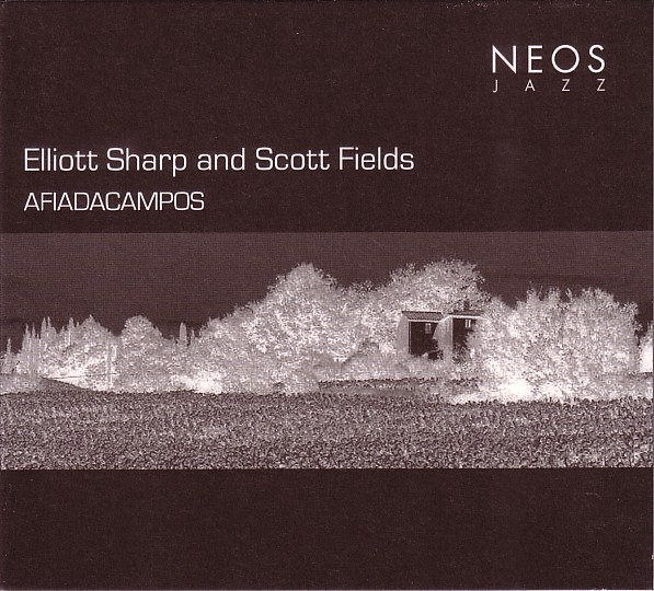 ELLIOTT SHARP - Afiadacampos (with Scott Fields) cover 