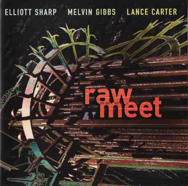 ELLIOTT SHARP - Raw Meet (with Melvin Gibbs / Lance Carter) cover 