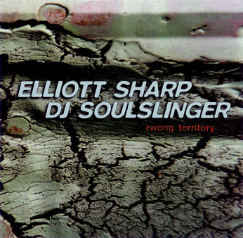 ELLIOTT SHARP - Rwong Territory (with DJ Soul Slinger) cover 