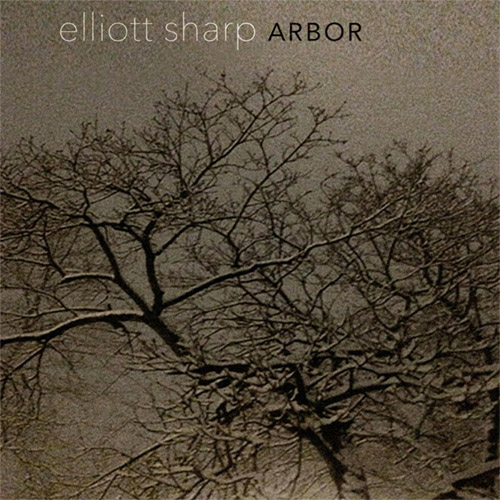 ELLIOTT SHARP - Arbor cover 