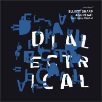 ELLIOTT SHARP - Elliott Sharp Aggregat feat. Barry Altschul : Dialectrical cover 