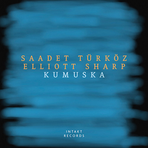 ELLIOTT SHARP - Saadet  Turkoz / Elliott Sharp : Kumuska cover 
