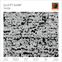ELLIOTT SHARP - Syzygy cover 