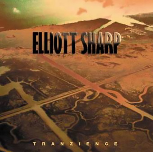 ELLIOTT SHARP - Tranzience cover 