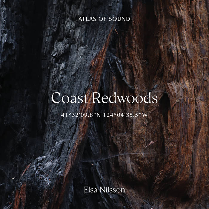 ELSA NILSSON - Atlas Of Sound - Coast Redwoods - 41​°​32'09​.​8