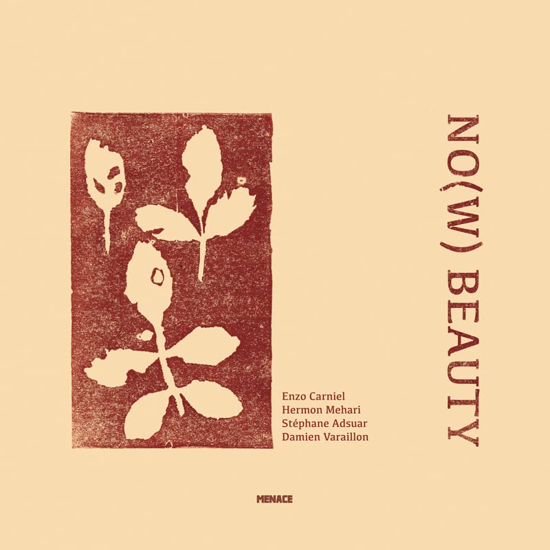 ENZO CARNIEL - Enzo Carniel / Hermon Mehari / Stephane Adsuar / Damien Varaillon : No(w) Beauty cover 