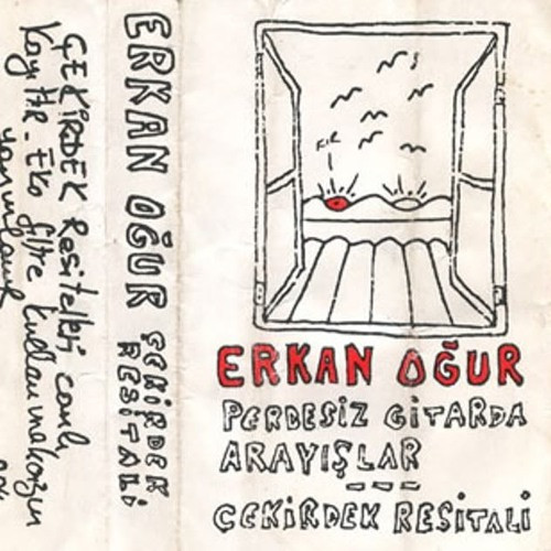 ERKAN OĞUR - Perdesiz Gitarda Arayışlar cover 